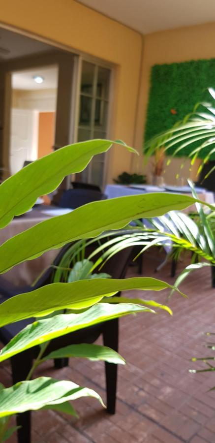 Mh Boutique Hotel Сан-Педро-Сула Экстерьер фото